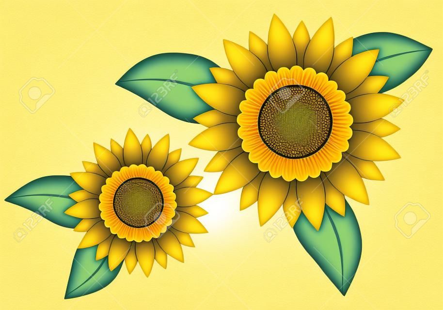 Motif d'illustration de tournesol (fleurs d'été)