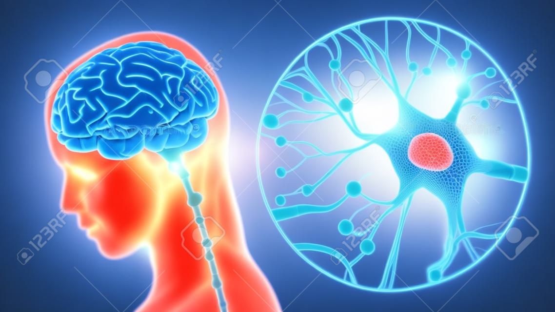 ニューロンのクローズアップ3Dレンダリングイラストによる人間の脳の刺激または活動。神経学、認知、神経回路網、心理学、神経科学の科学的概念。