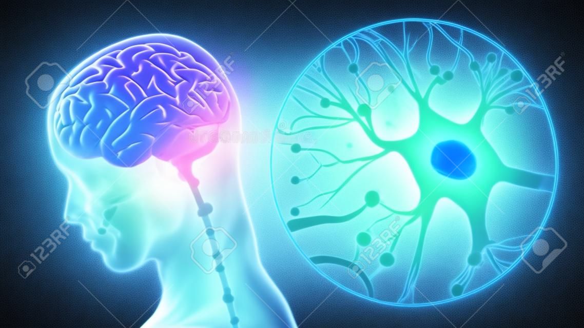 Stimulation oder Aktivität des menschlichen Gehirns mit Neuronen-Nahaufnahme 3D-Darstellung. Neurologie, Kognition, neuronales Netzwerk, Psychologie, neurowissenschaftliche Konzepte.