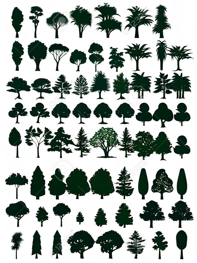 Ağaçlar set