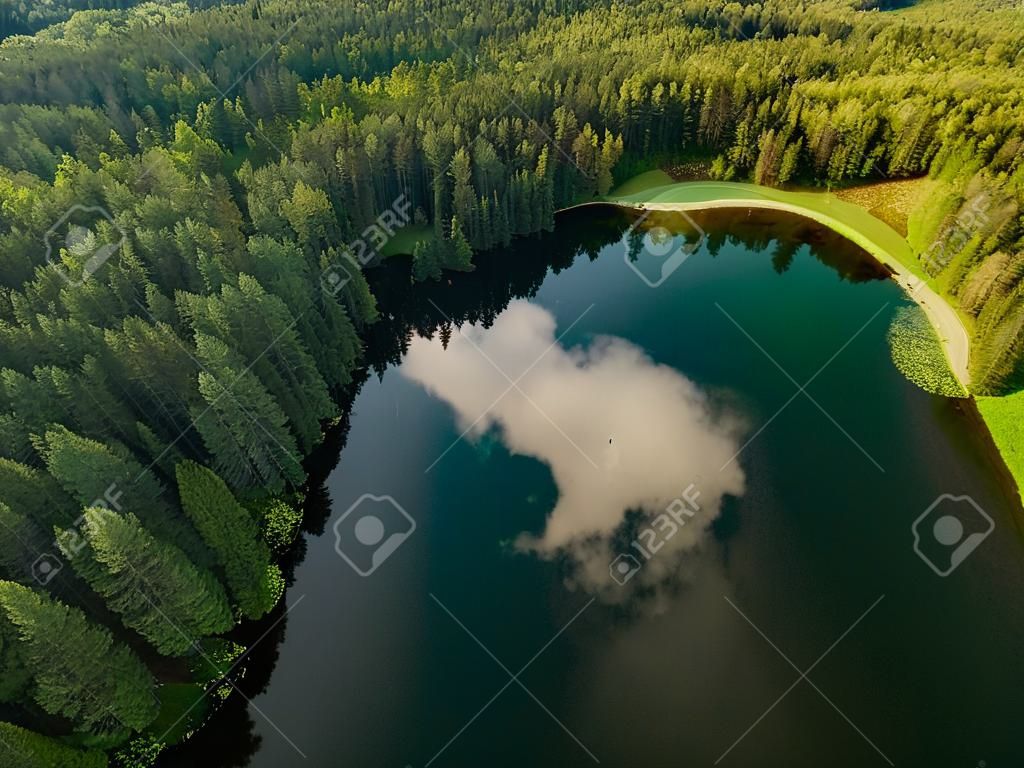 ジェラ湖の美しい緑の海の空中トップダウンビュー。松林に囲まれた風光明媚なエメラルド湖の鳥瞰図。リトアニアのビリニュス市近くのゲラ湖に反射する雲。