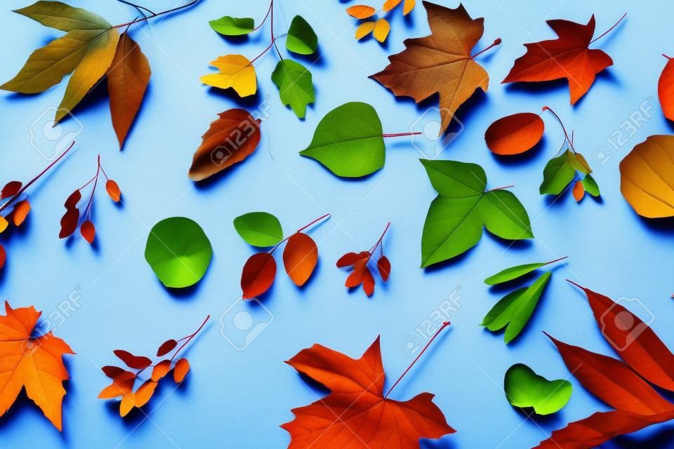 autumn leaves on blue paper background