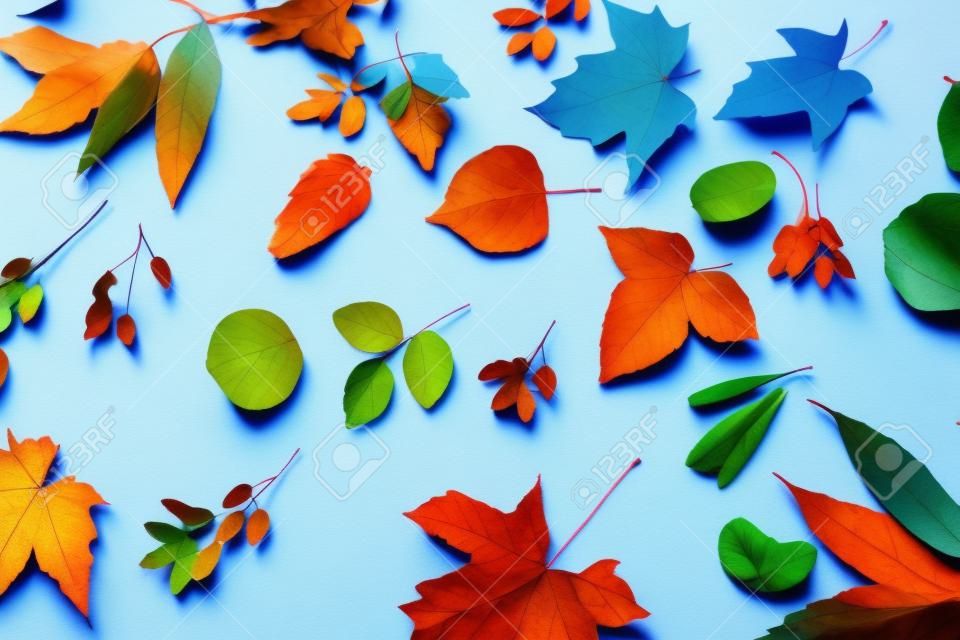 foglie di autunno su sfondo di carta blu