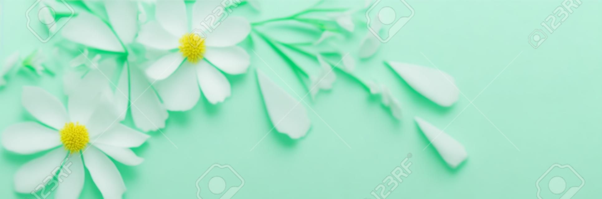 緑の紙の背景に白い花