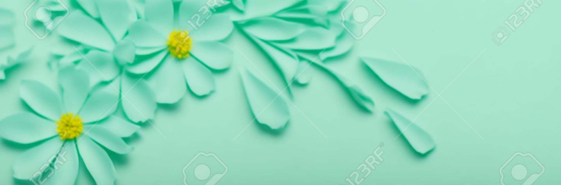 white flowers on green paper background