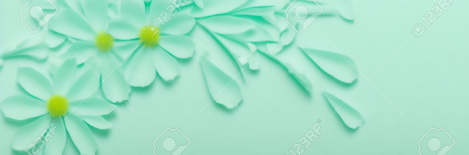 białe kwiaty na zielonym tle papieru