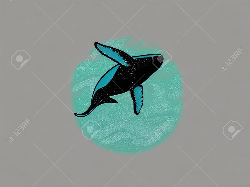 brekende bultrug walvis logo
