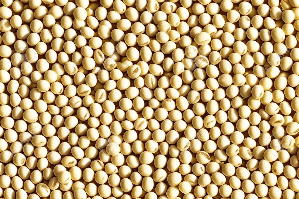 Fresh seed soybean for design background in your work.
