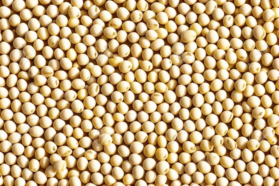 Fresh seed soybean for design background in your work.