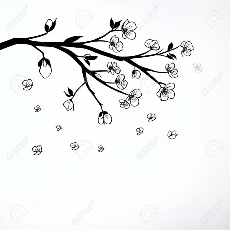 Ilustración de la rama de la flor con los pétalos de Sakura vuelo