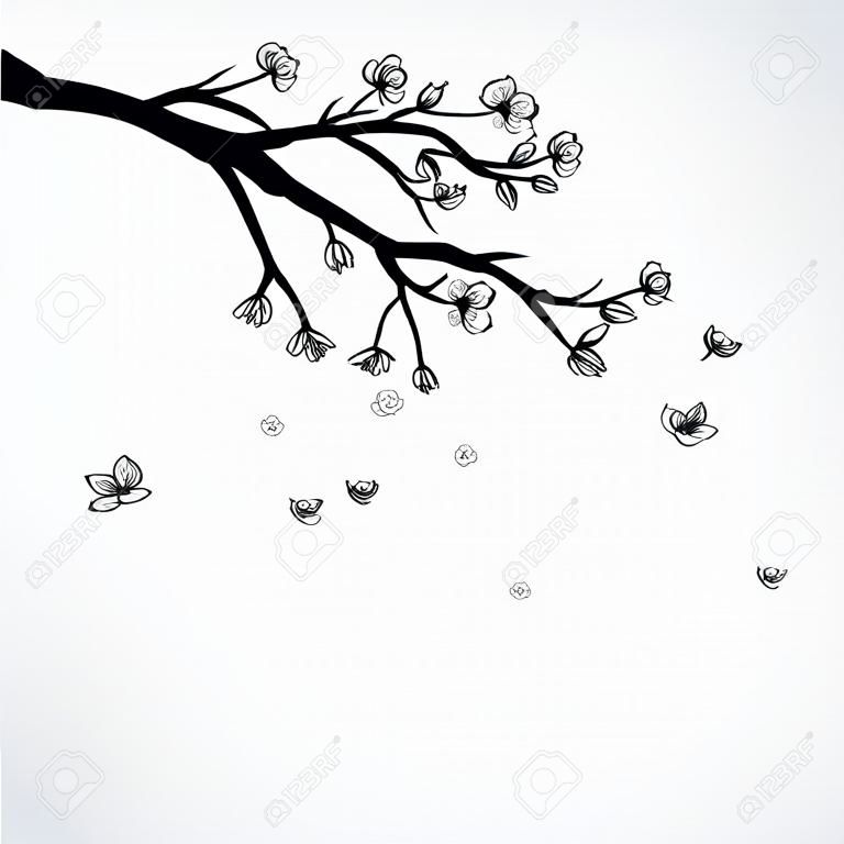 Ilustração, de, ramo floração, de, Sakura, com, voando, pétalas