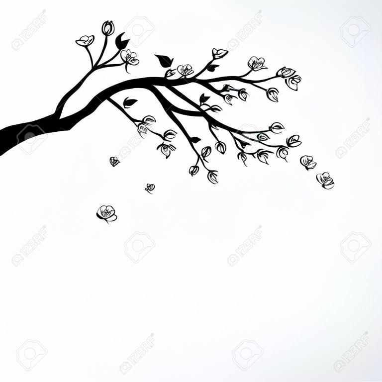 Illustration of flowering branch of Sakura with flying petals 