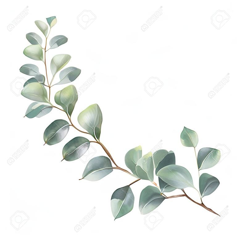 シルバー ダラー ユーカリの葉と枝と水彩ベクトル花輪。