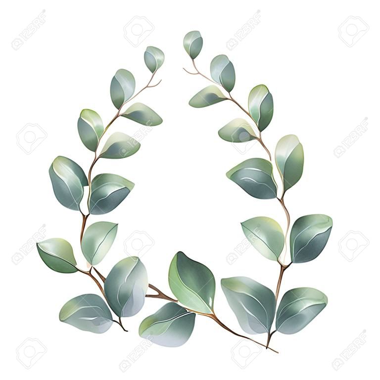 Acuarela vector de la guirnalda con hojas y ramas de eucalipto dólar de plata.