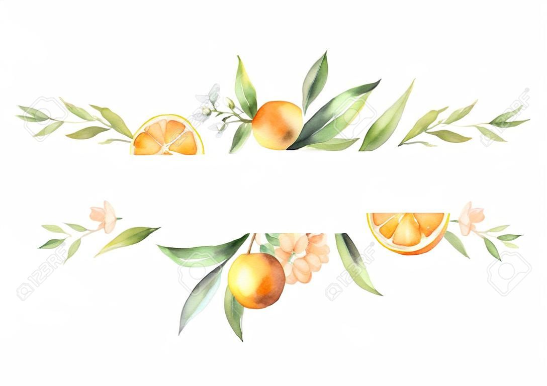 水彩橫幅水果橙色分支孤立在白色背景上。