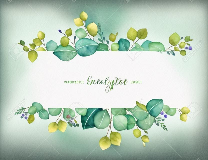 水彩矢量手繪綠色花卉橫幅與孤立的白色背景上的銀元桉樹。治愈草藥卡，婚禮請柬，海報，保存日期或問候設計。