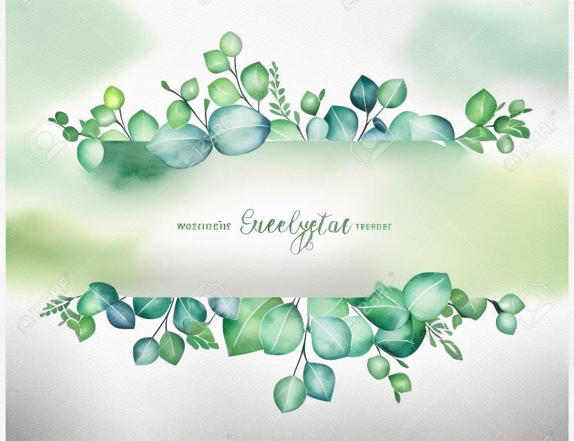 水彩矢量手繪綠色花卉橫幅與孤立的白色背景上的銀元桉樹。治愈草藥卡，婚禮請柬，海報，保存日期或問候設計。