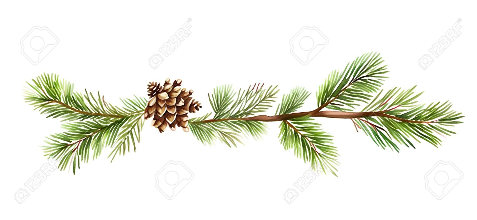 Bandeira do Natal do vetor da aquarela com ramos do abeto e lugar para o texto. Ilustração para cartões e convites isolados no fundo branco.