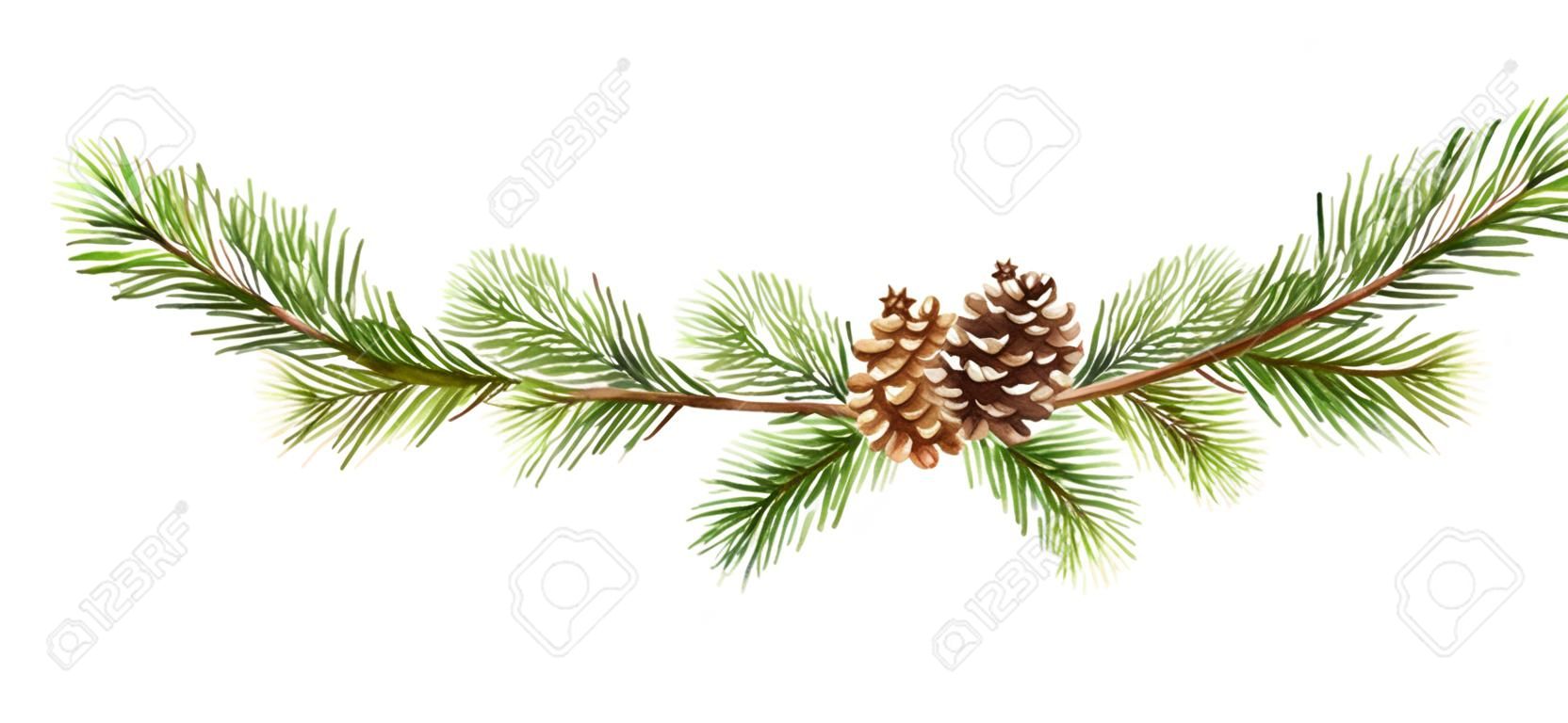 Watercolor vector Christmas banner with fir branches and place for text. Illustration for greeting cards and invitations isolated on white background.
