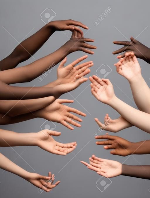Humanidad. Manos de diferentes personas en contacto aisladas en el fondo gris del estudio. Concepto de relación, diversidad, inclusión, comunidad, unión. Tocar sin peso, creando una unidad.