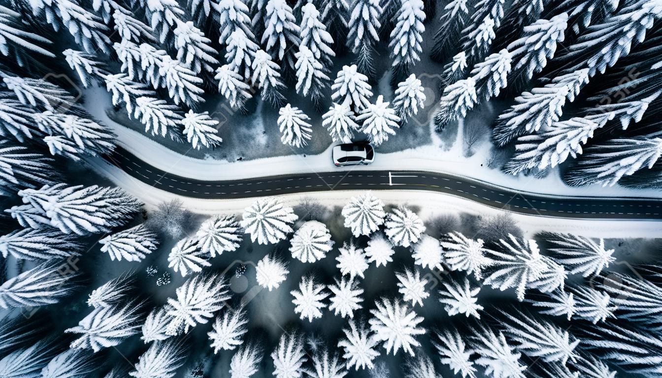 Jazda w lesie po opadach śniegu, widok z lotu ptaka.