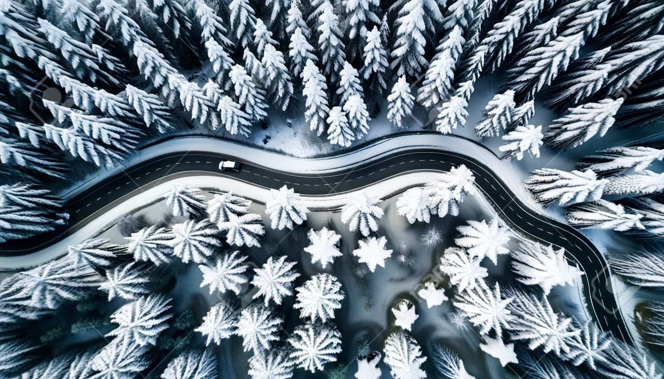 Driving in forest after snowfall, aerial drone view.