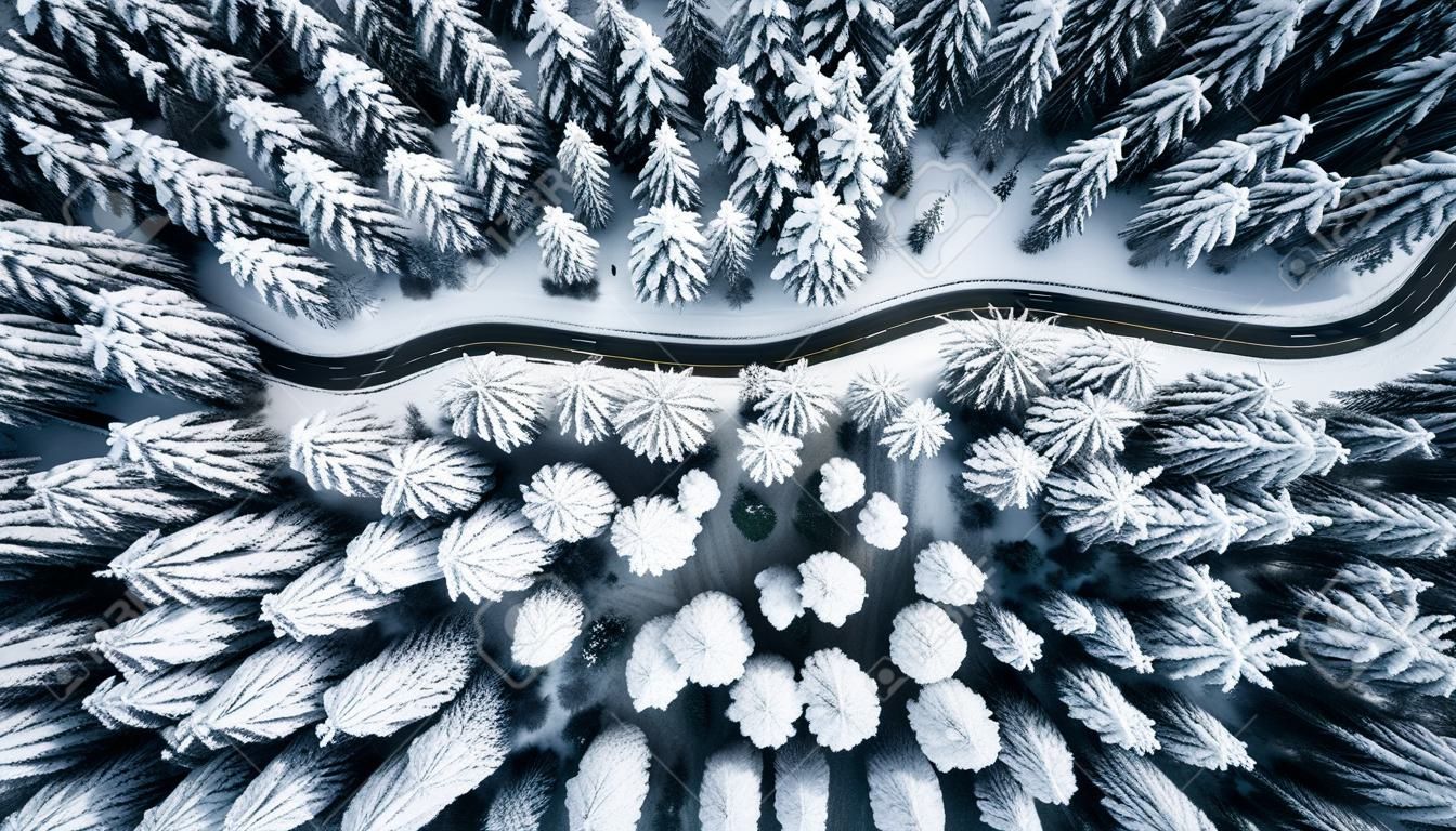 Estrada ventosa curvada na floresta coberta de neve, vista aérea de cima para baixo.