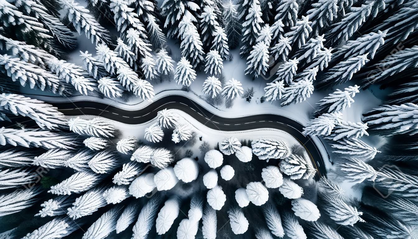 Camino ventoso con curvas en el bosque cubierto de nieve, vista aérea de arriba hacia abajo.