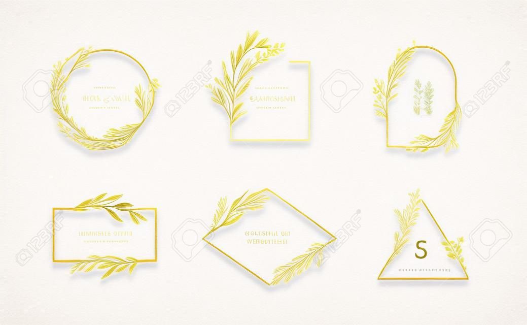 Set of golden minimal feminine botanical floral frame or logo. Hand drawn wedding herb, homeplant with elegant leaves. Botanical rustic trendy greenery vector illustration