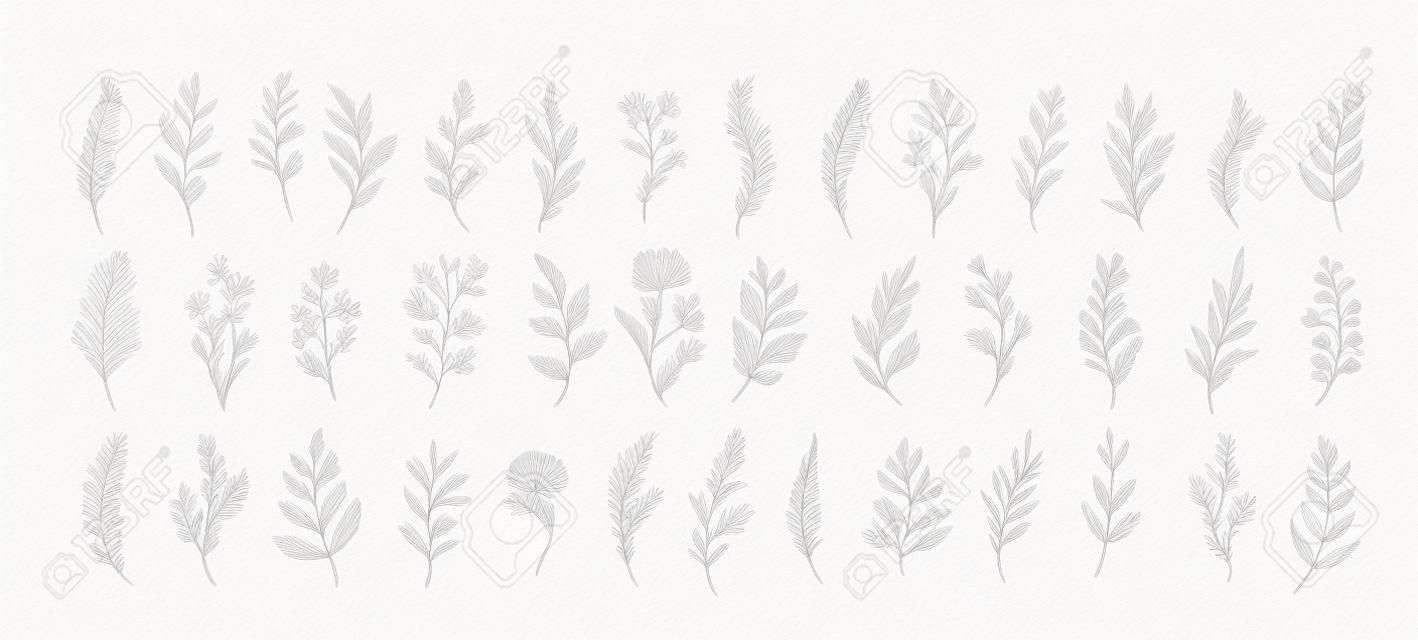 Rama floral y hojas minimalistas para logo o tatuaje. hierba de boda de línea dibujada a mano, elegantes flores silvestres. dibujo de arte de línea mínima para impresión, portada o papel tapiz