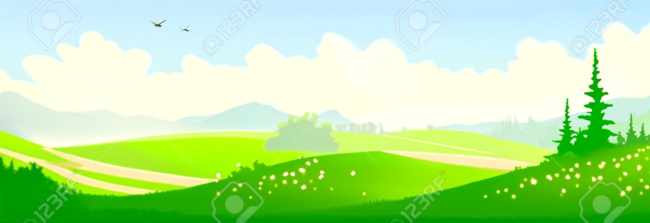 Vektor-Illustration der grünen Sommer Wald