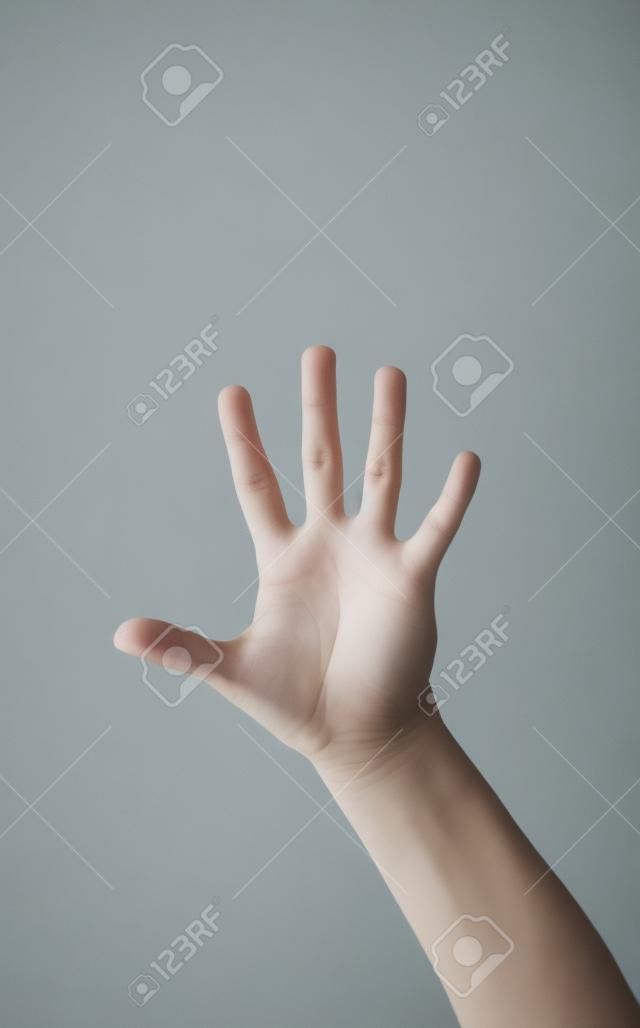 Aislado mano femenina de cinco dedos
