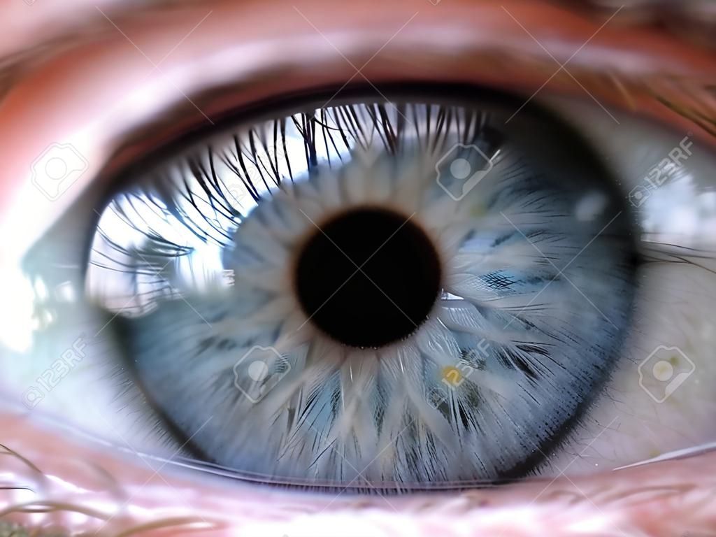 close up de um olho azul