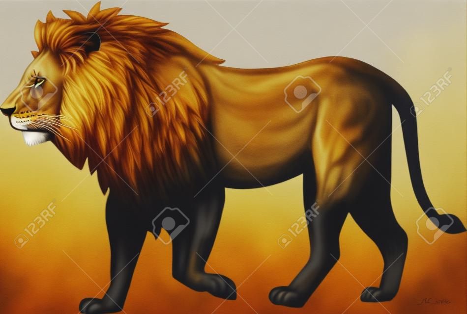 Lion marche
