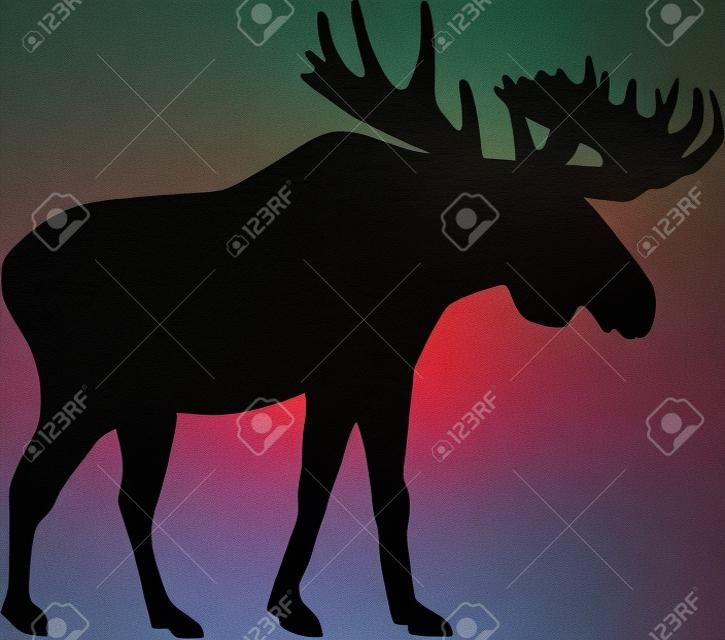 Silhouette Moose