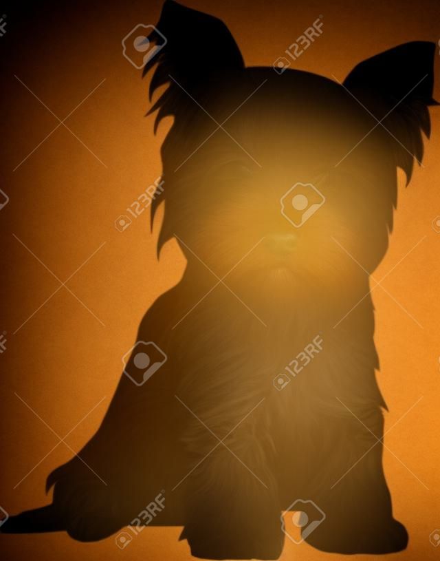 Yorkshire Terrier zittend silhouet