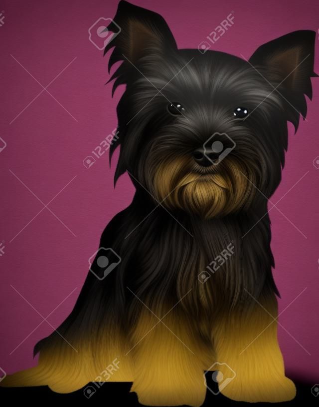 Yorkshire Terrier sitting silhouette