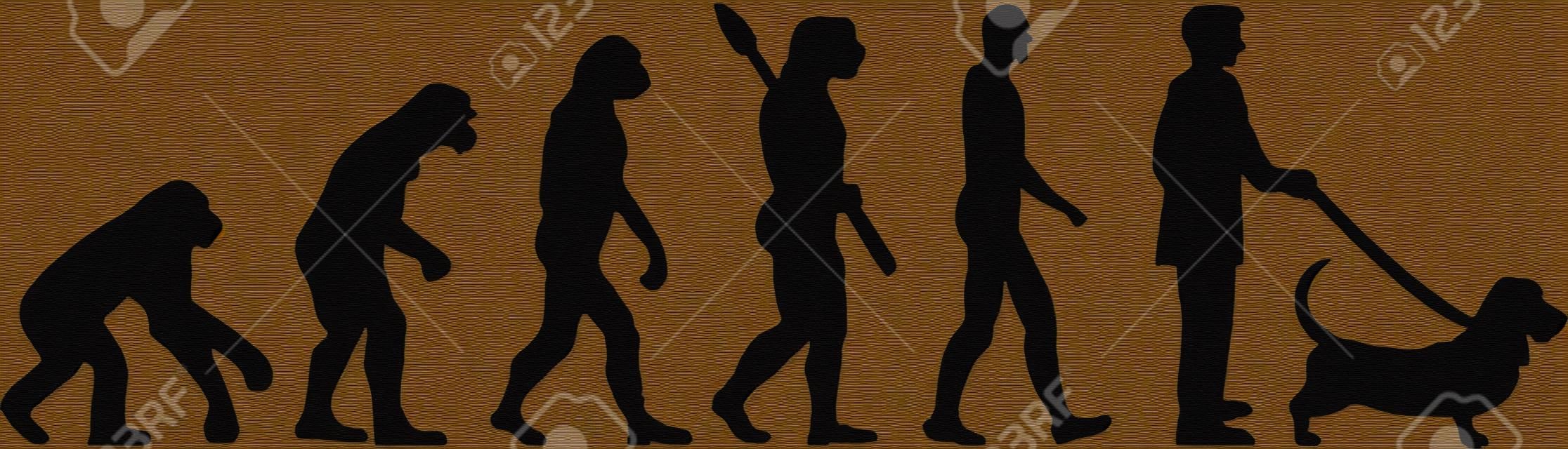 Basset hound evolution with silhouette illustration.
