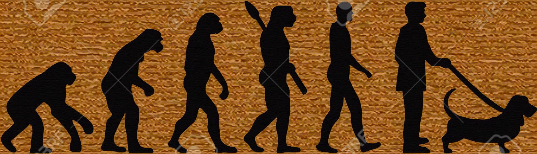 Basset hound evolution with silhouette illustration.