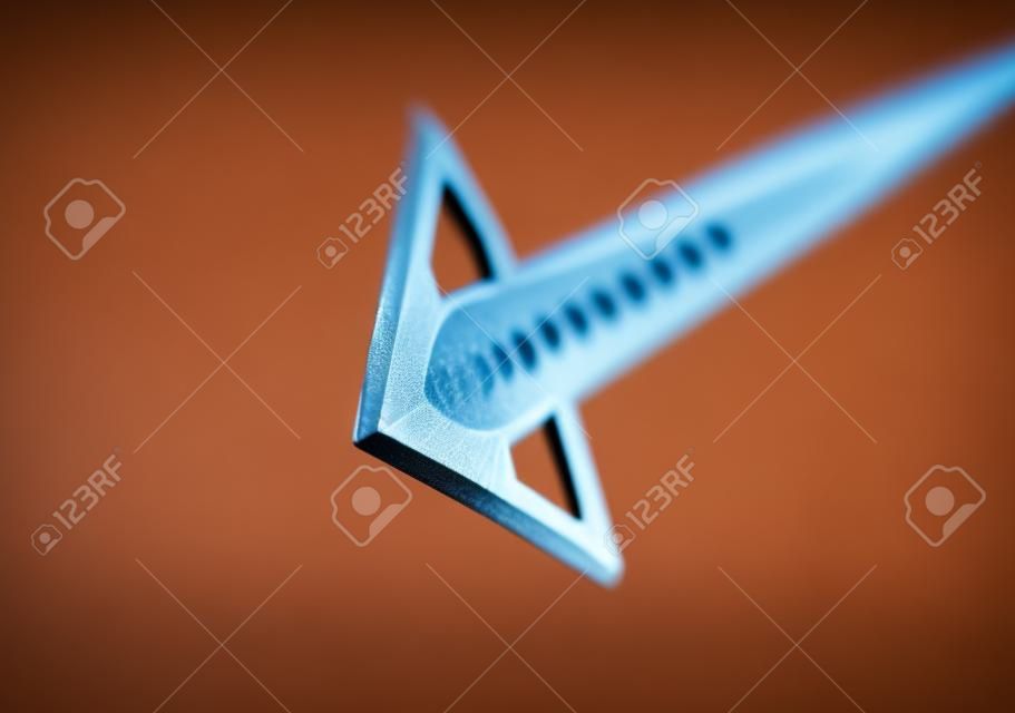 Shallow depth of field image of an arrow flying in the direction of the viewer.