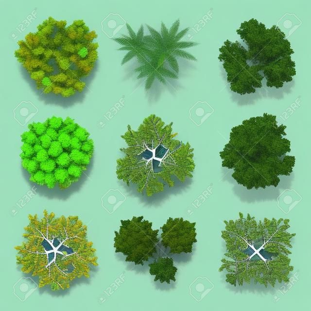 Trees top view set for landscape design and map. Green tree for garden, illustration trees for forest