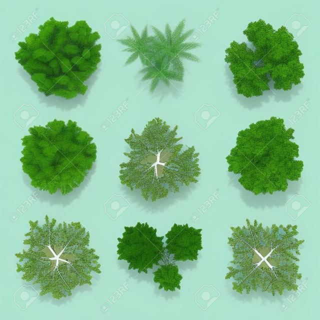 Trees top view set for landscape design and map. Green tree for garden, illustration trees for forest