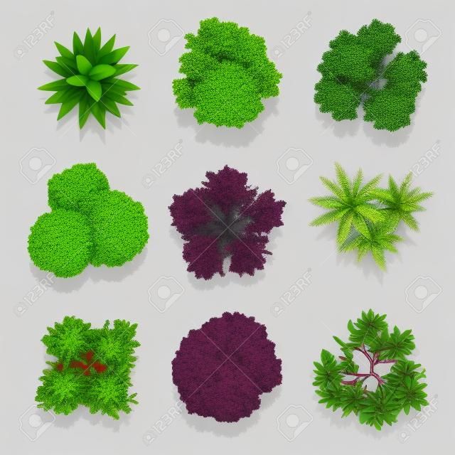 Top view different plants and trees vector set for architectural or landscape design