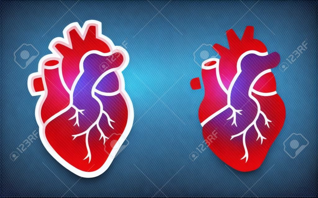 Ilustração em vetor de ícone de design de coração humano.