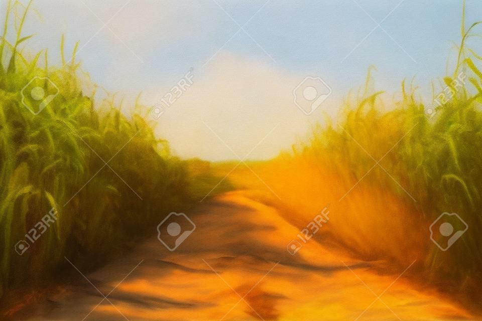 Straße auf dem Maisfeld