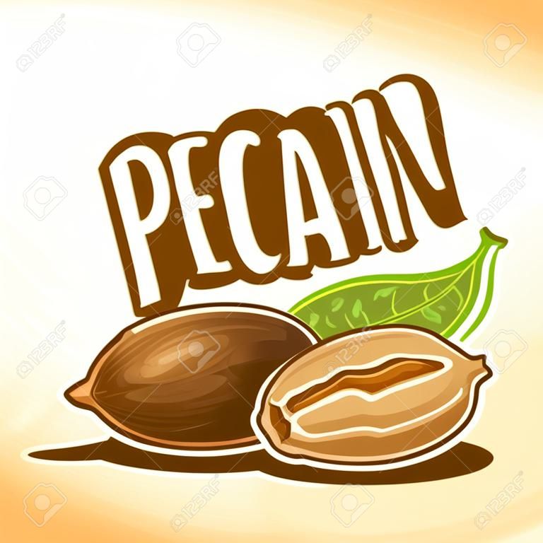 Illustration on the theme for pecan nuts, consisting of peeled half pecan nutlets and two nuts in the nutshell with green leaf