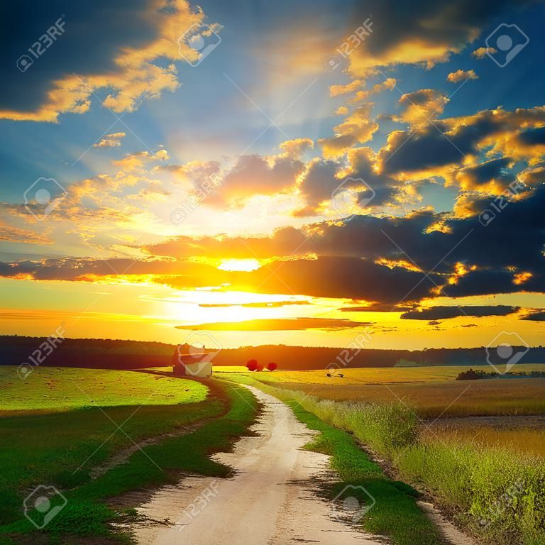 Road in field over sunset