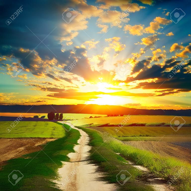 Road in field over sunset