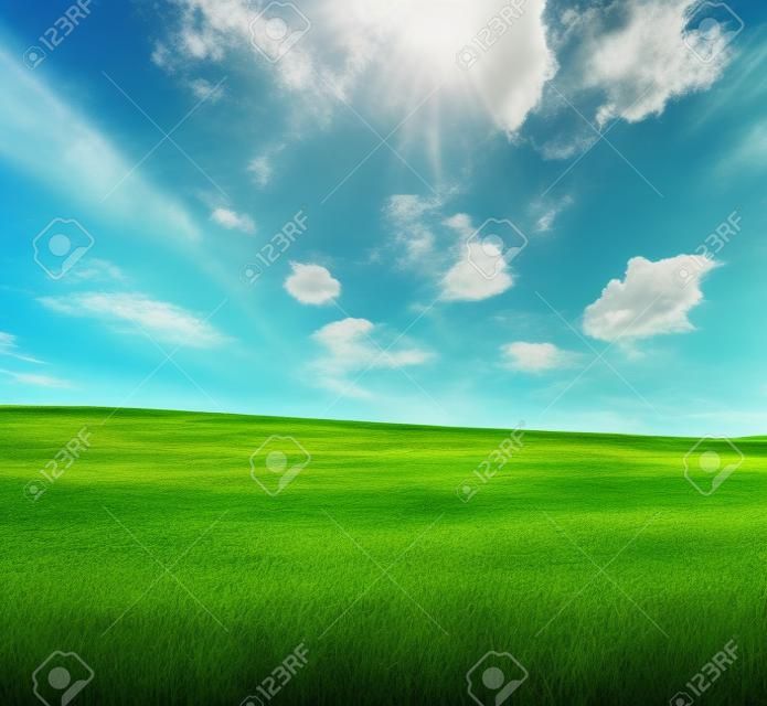 Prado con la hierba verde y el cielo azul con nubes