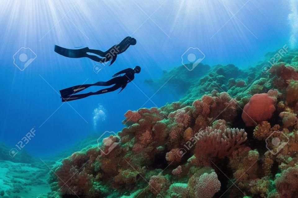 Dos buceadores nadan bajo el agua sobre los arrecifes de coral vivo. Mar Rojo, Egipto